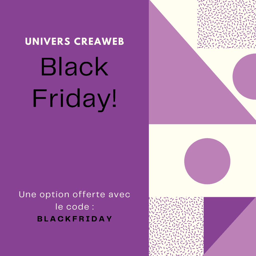 Option offerte avec le code : BLACKFRIDAY
